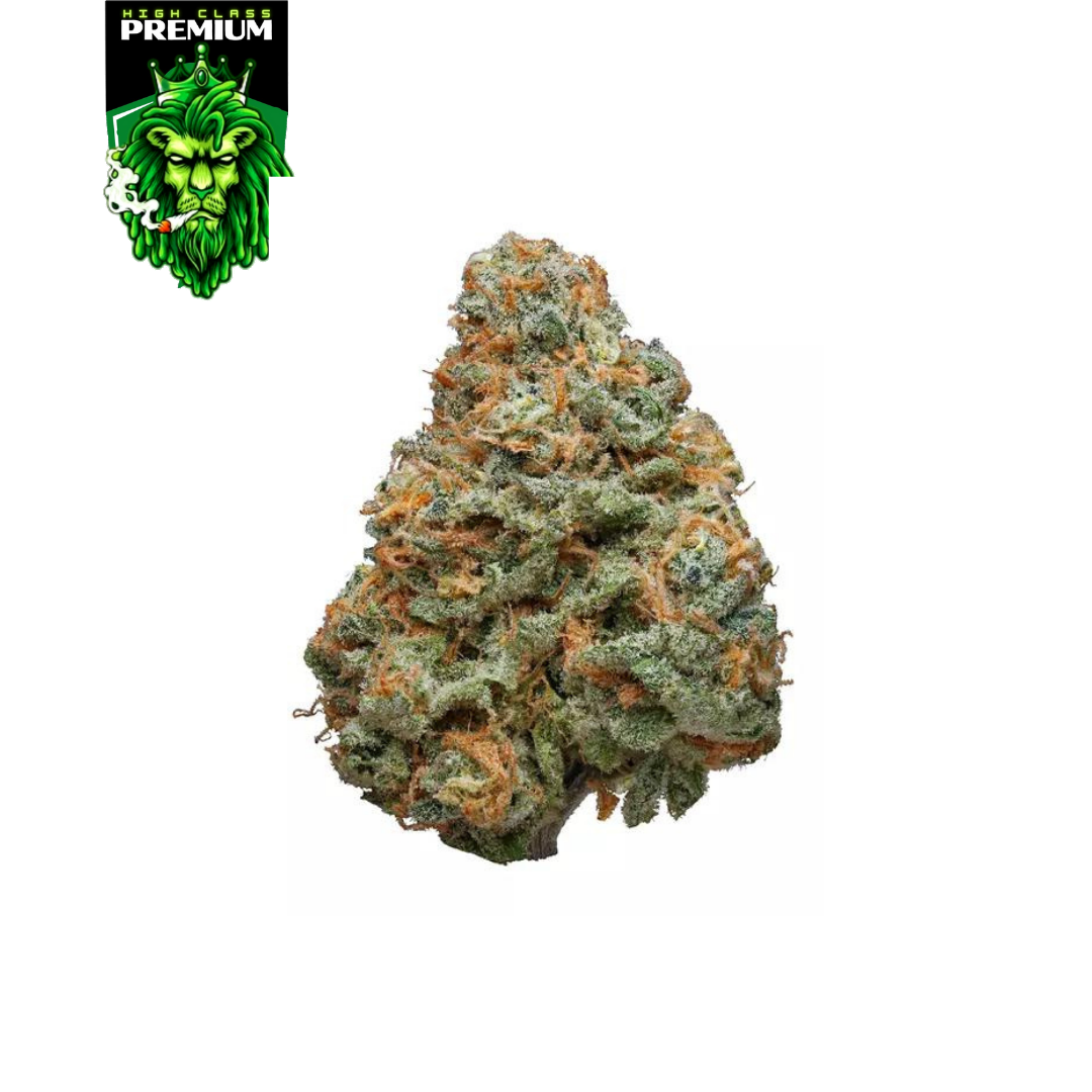 HAZE BERRY